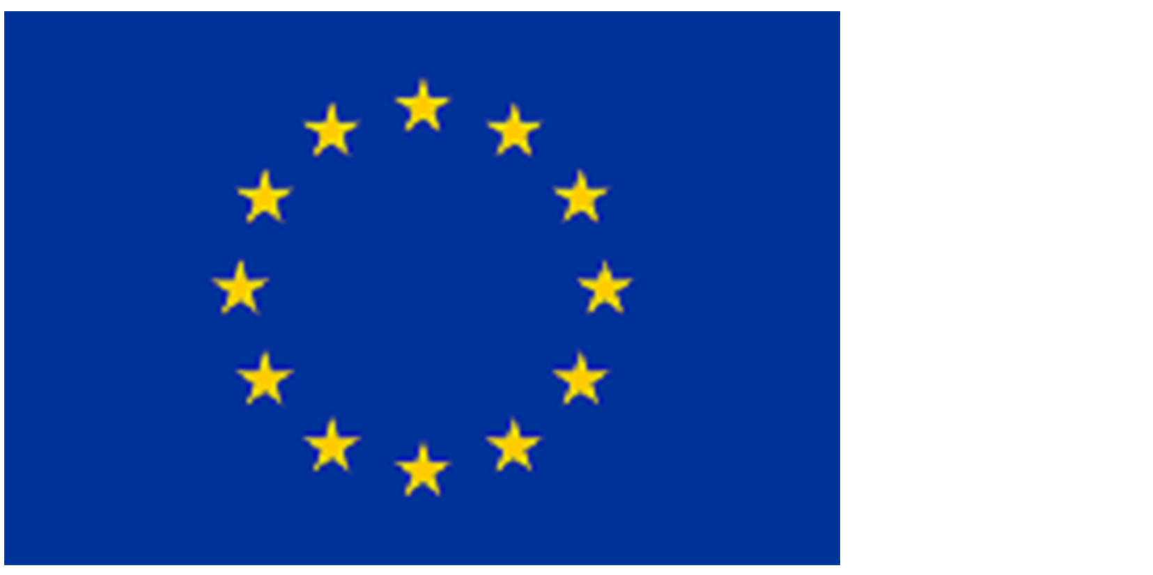 EU lippu.
