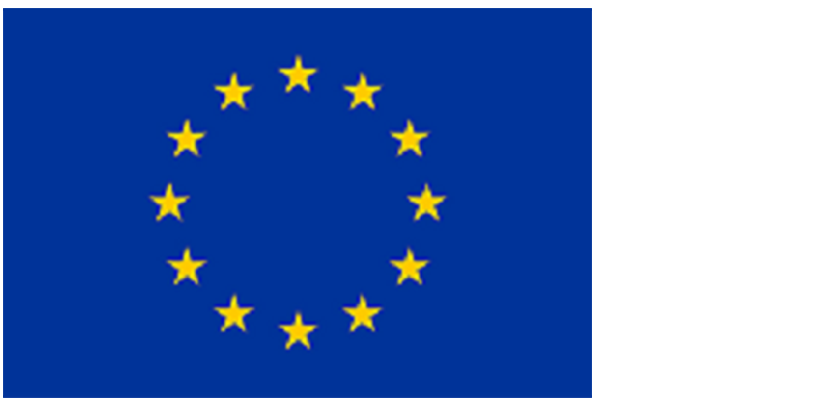 EU flag